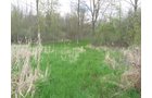 Property photo 51 - 37 Acres Offered in 4 Tracts
