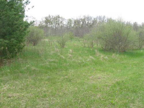 Property photo 10 - 37 Acres Offered in 4 Tracts