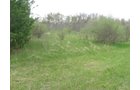 Property photo 10 - 37 Acres Offered in 4 Tracts