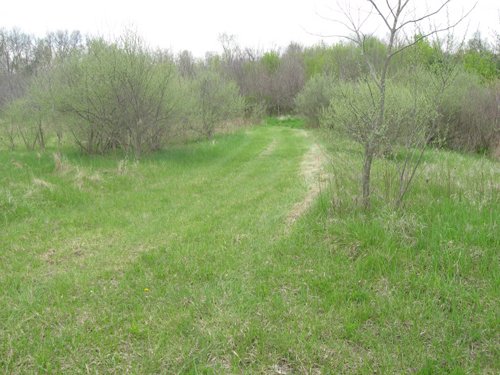 Property photo 69 - 37 Acres Offered in 4 Tracts