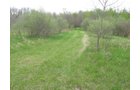 Property photo 69 - 37 Acres Offered in 4 Tracts