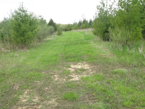 Property photo 80 - 37 Acres Offered in 4 Tracts