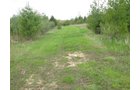 Property photo 80 - 37 Acres Offered in 4 Tracts