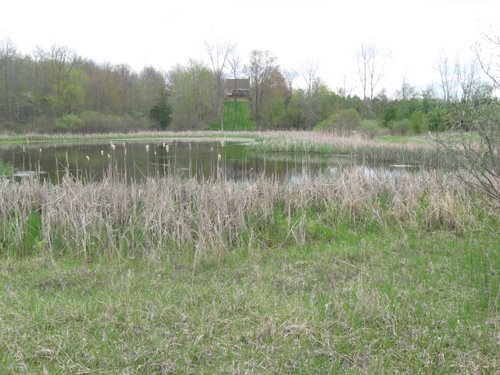 Property photo 24 - 37 Acres Offered in 4 Tracts