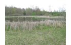 Property photo 24 - 37 Acres Offered in 4 Tracts