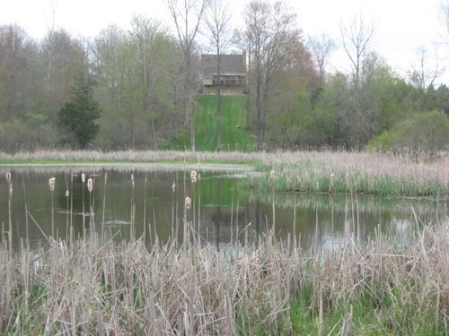 Property photo 35 - 37 Acres Offered in 4 Tracts