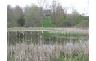 Property photo 35 - 37 Acres Offered in 4 Tracts