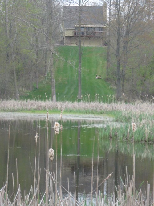 Property photo 9 - 37 Acres Offered in 4 Tracts