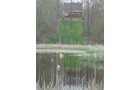 Property photo 9 - 37 Acres Offered in 4 Tracts