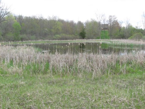 Property photo 32 - 37 Acres Offered in 4 Tracts