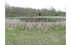 Property photo 32 - 37 Acres Offered in 4 Tracts
