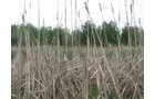 Property photo 19 - 37 Acres Offered in 4 Tracts