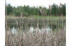 Property photo 20 - 37 Acres Offered in 4 Tracts