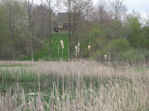 Property photo 81 - 37 Acres Offered in 4 Tracts