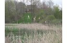Property photo 81 - 37 Acres Offered in 4 Tracts