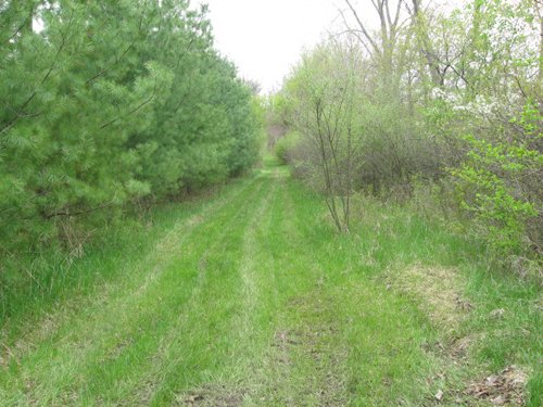 Property photo 1 - 37 Acres Offered in 4 Tracts
