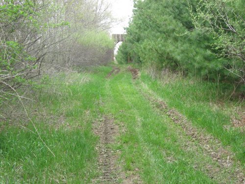 Property photo 31 - 37 Acres Offered in 4 Tracts