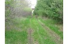 Property photo 31 - 37 Acres Offered in 4 Tracts