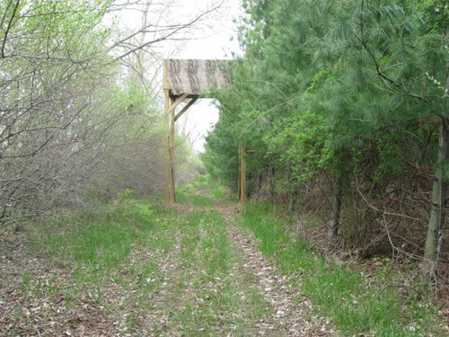Property photo 56 - 37 Acres Offered in 4 Tracts