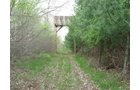 Property photo 56 - 37 Acres Offered in 4 Tracts