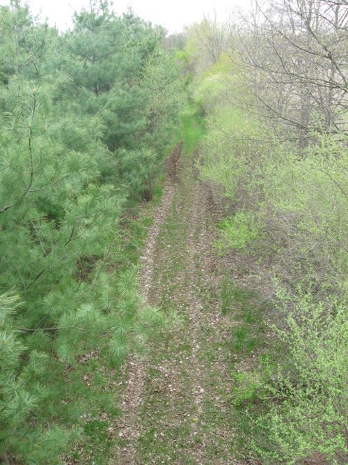 Property photo 61 - 37 Acres Offered in 4 Tracts