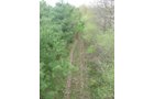 Property photo 61 - 37 Acres Offered in 4 Tracts