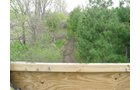 Property photo 63 - 37 Acres Offered in 4 Tracts
