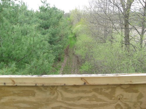 Property photo 53 - 37 Acres Offered in 4 Tracts