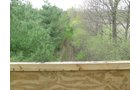 Property photo 53 - 37 Acres Offered in 4 Tracts