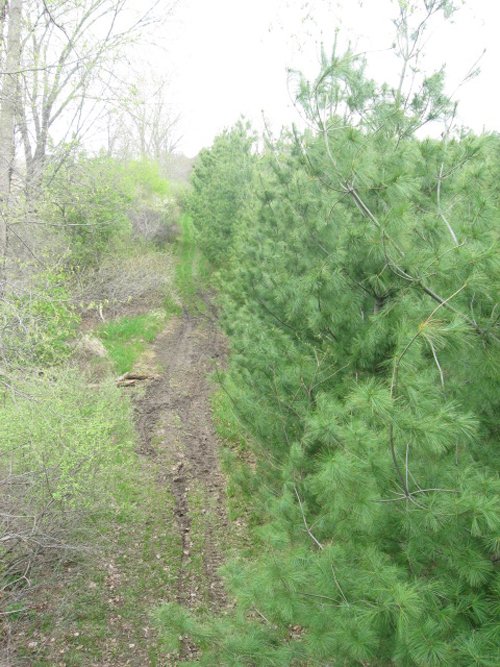 Property photo 14 - 37 Acres Offered in 4 Tracts