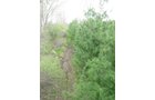 Property photo 14 - 37 Acres Offered in 4 Tracts