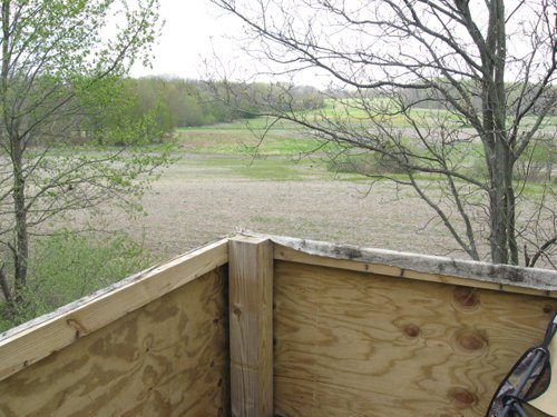 Property photo 78 - 37 Acres Offered in 4 Tracts