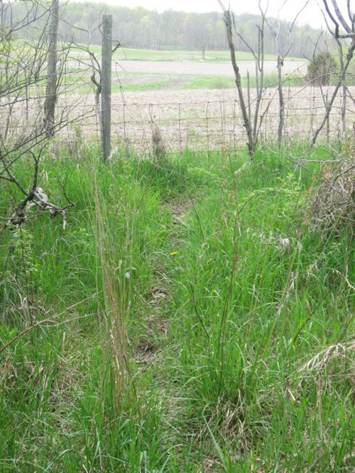 Property photo 30 - 37 Acres Offered in 4 Tracts