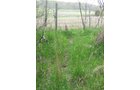 Property photo 30 - 37 Acres Offered in 4 Tracts