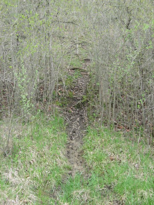 Property photo 88 - 37 Acres Offered in 4 Tracts