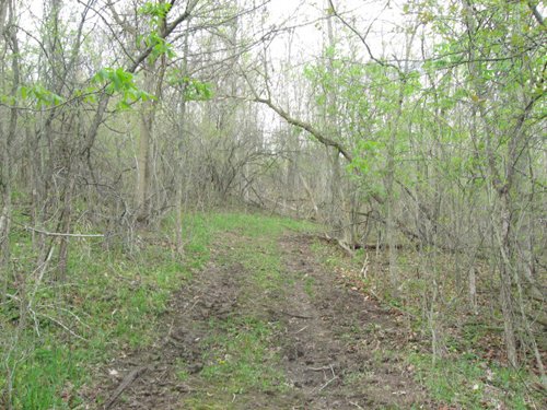 Property photo 6 - 37 Acres Offered in 4 Tracts