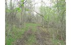 Property photo 6 - 37 Acres Offered in 4 Tracts