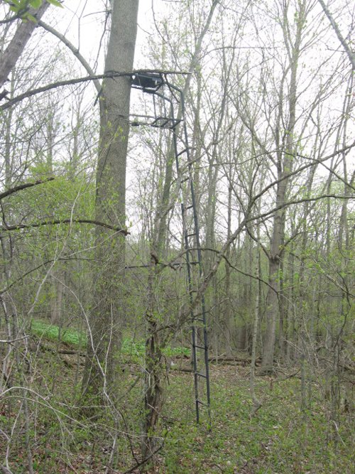 Property photo 58 - 37 Acres Offered in 4 Tracts