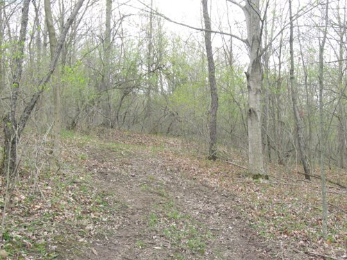 Property photo 25 - 37 Acres Offered in 4 Tracts
