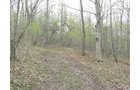 Property photo 25 - 37 Acres Offered in 4 Tracts