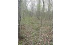 Property photo 87 - 37 Acres Offered in 4 Tracts