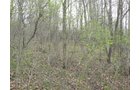 Property photo 65 - 37 Acres Offered in 4 Tracts