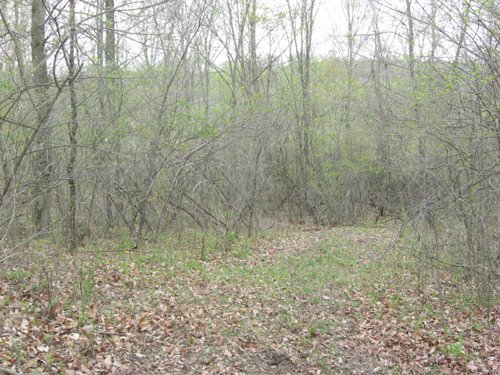 Property photo 2 - 37 Acres Offered in 4 Tracts
