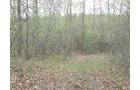 Property photo 2 - 37 Acres Offered in 4 Tracts