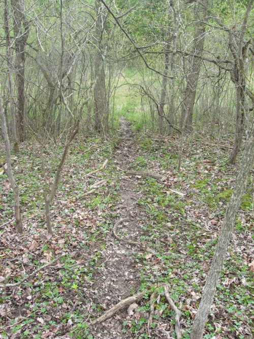 Property photo 41 - 37 Acres Offered in 4 Tracts