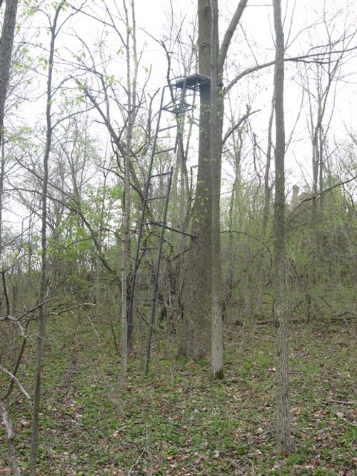 Property photo 90 - 37 Acres Offered in 4 Tracts