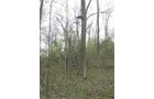 Property photo 90 - 37 Acres Offered in 4 Tracts