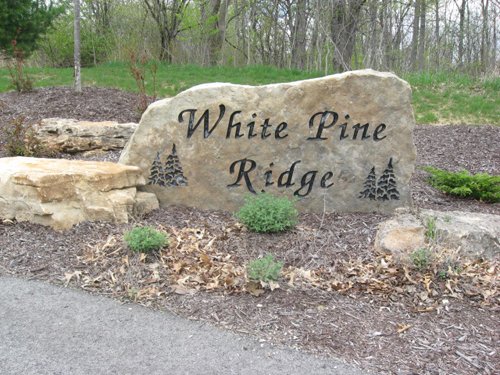 Property photo 79 - 37 Acres Offered in 4 Tracts