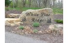 Property photo 79 - 37 Acres Offered in 4 Tracts