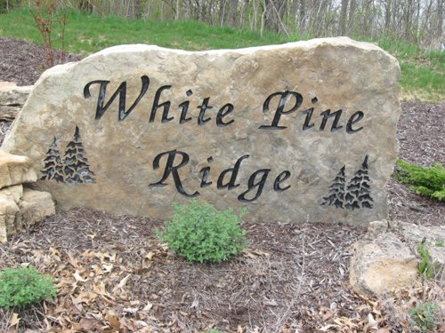 Property photo 70 - 37 Acres Offered in 4 Tracts